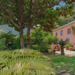 ** Casa de hóspedes Madeira Surf Portugal